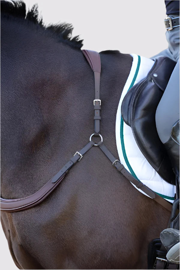 Free motion breastplate