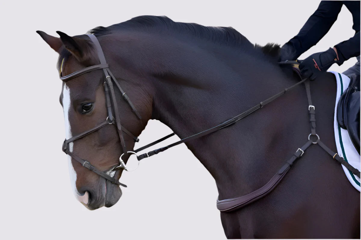 Free motion breastplate