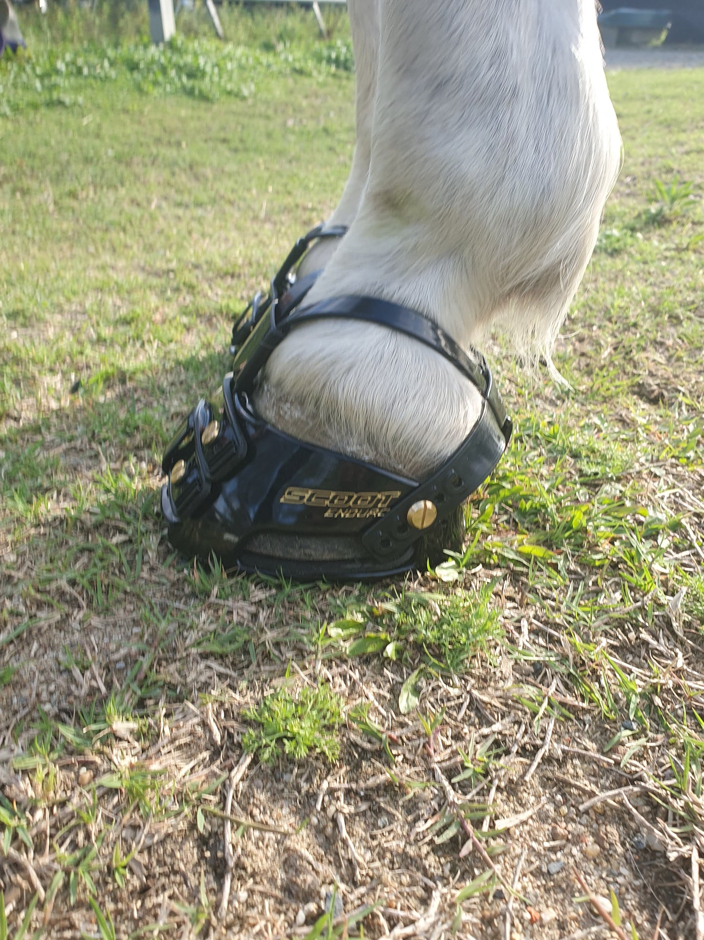 Scoot Boot mud straps