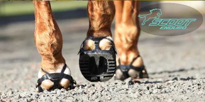 Scootboot Adjust (Enduro)