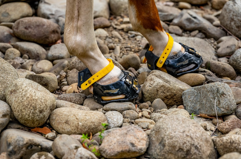 Trail gaiter pack