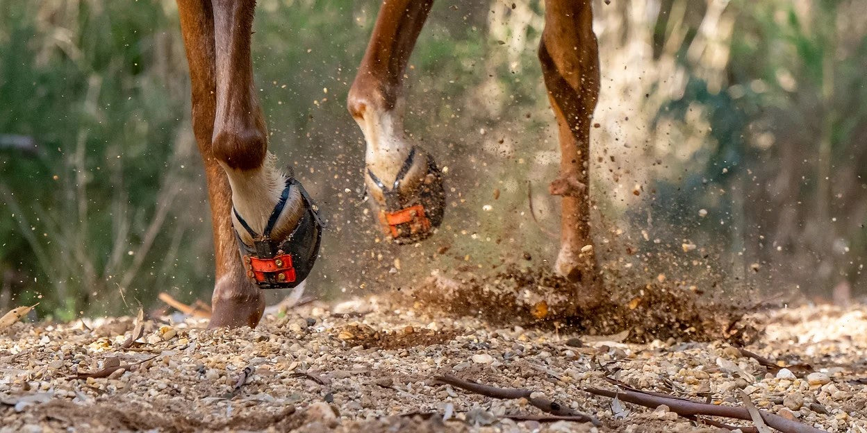 Scoot Boot mud straps