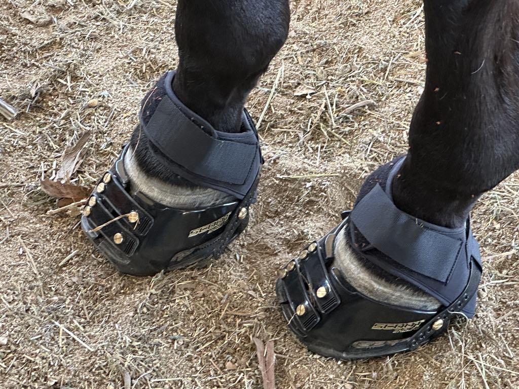 Multipurpose gaiter