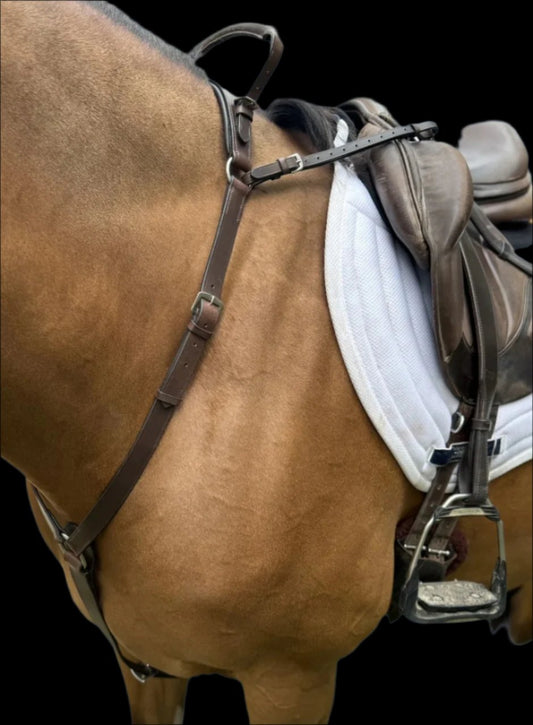 3 Point Breastplate with Double Neck Strap