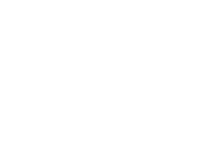 Scootboot Classic