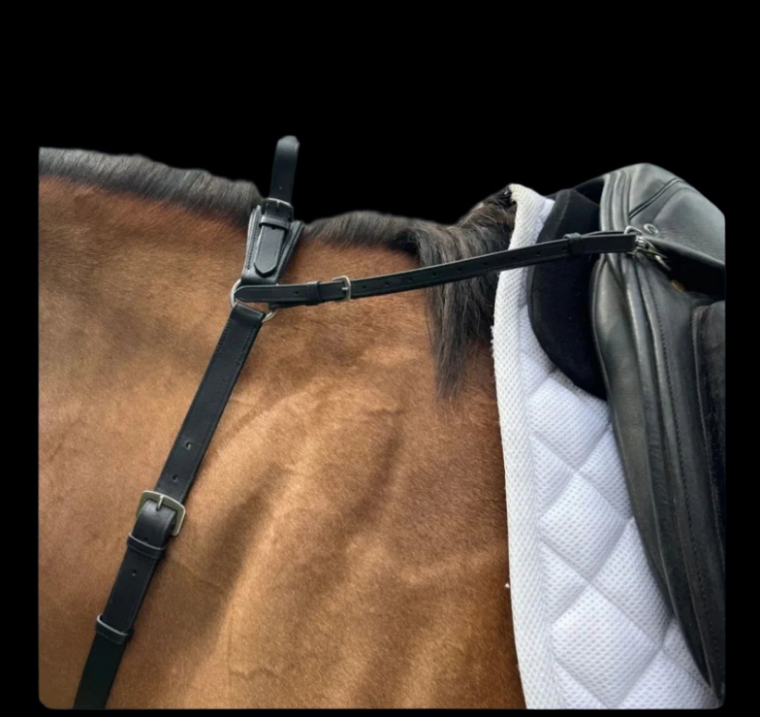 3 Point Breastplate with Double Neck Strap