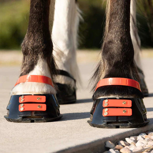 Scoot Boot pastern straps