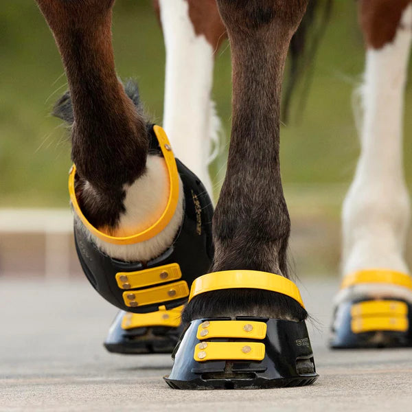 Scoot Boot pastern straps