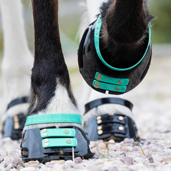 Scoot Boot pastern straps