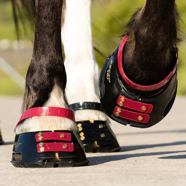 Scoot Boot pastern straps