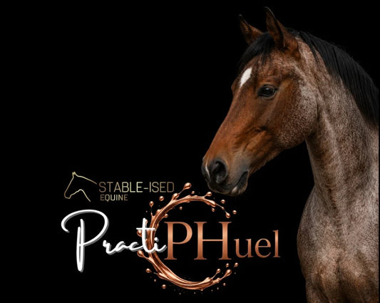 PractiPHuel