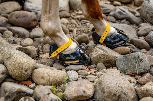 Trail Gaiter Pack