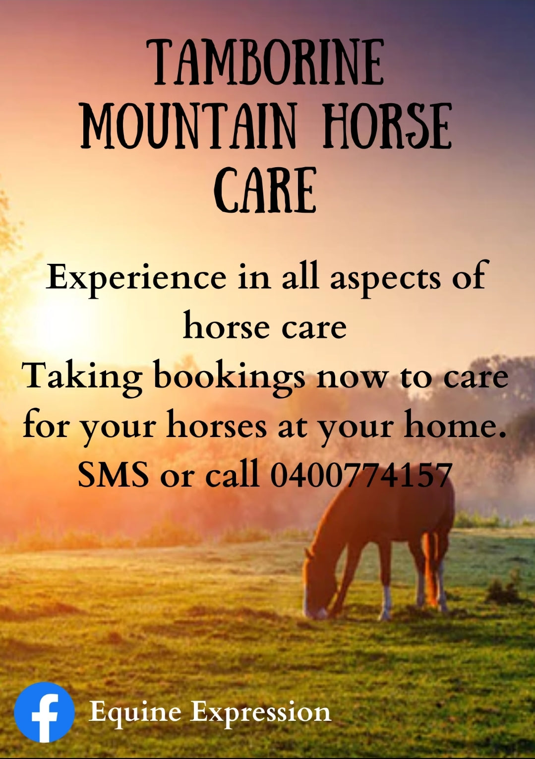 Horse care