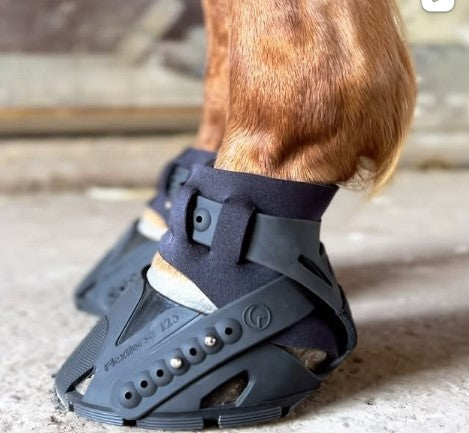 In-person hoof boot fitting