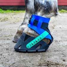 In-person hoof boot fitting