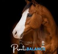 PractiBALANCE