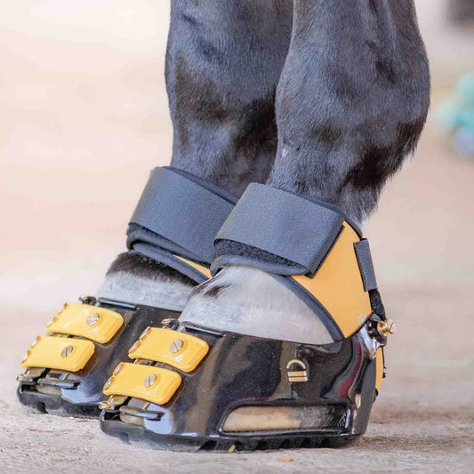 In-person hoof boot fitting